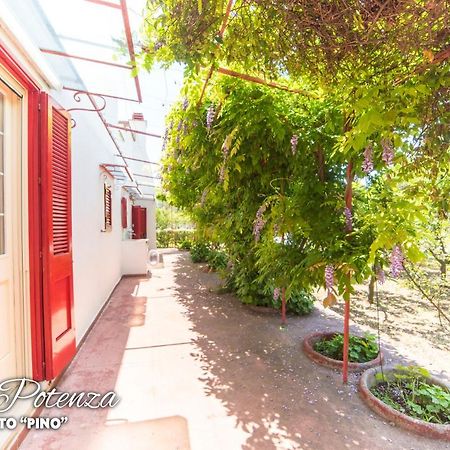 Villa Potenza Galatone Dış mekan fotoğraf