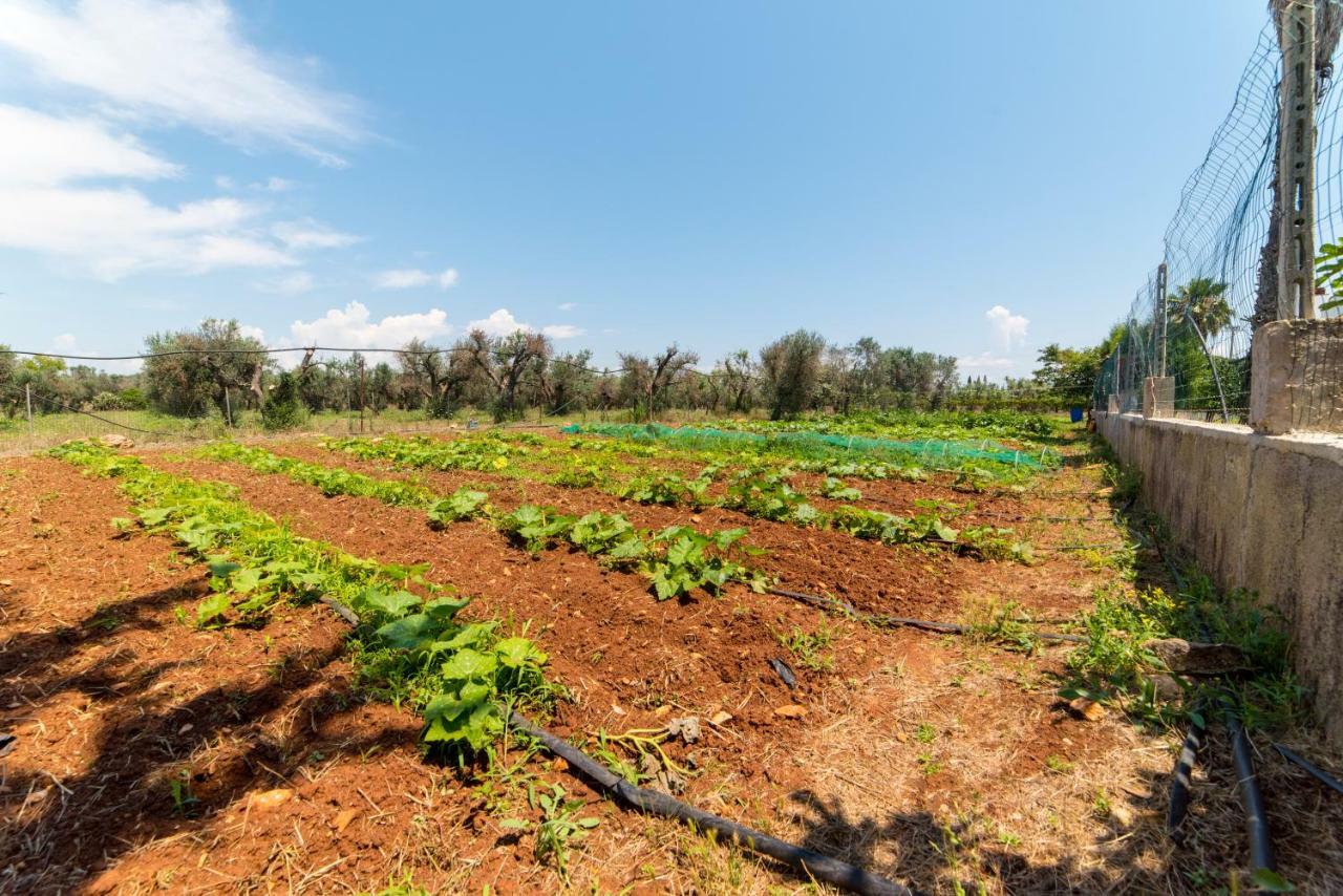 Villa Potenza Galatone Dış mekan fotoğraf